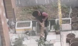 河南一小区爆料视频最新,业主维权引发关注，真相究竟如何？